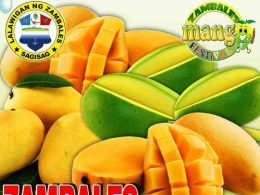 zambales mango festival