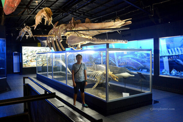 D’ Bone Collector Museum