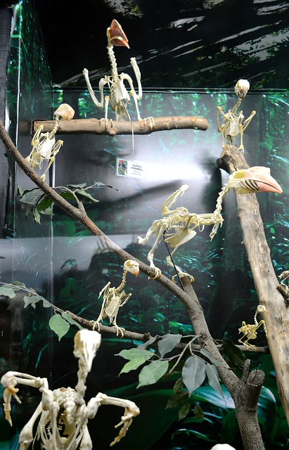 D’ Bone Collector Museum davao