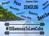 reasons to love cebu