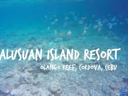 Nalusuan Island Resort