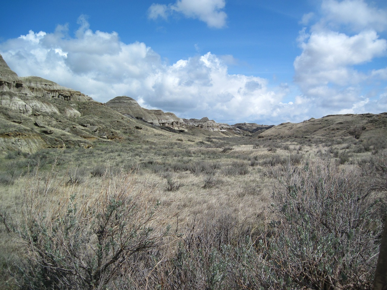 dinosaur provincial park canada natural wonders