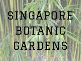 singapore botanic gardens