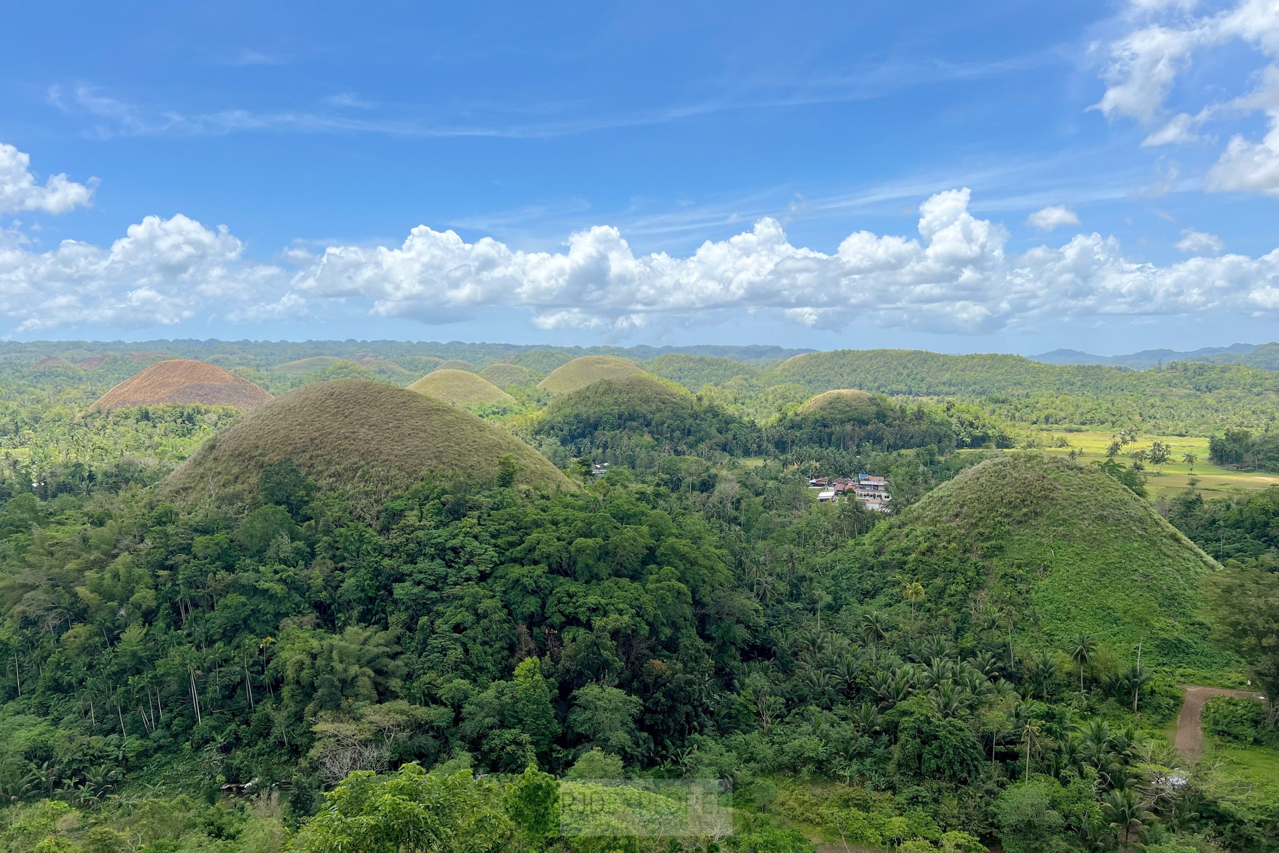 chocolate hills bohol countryside tour