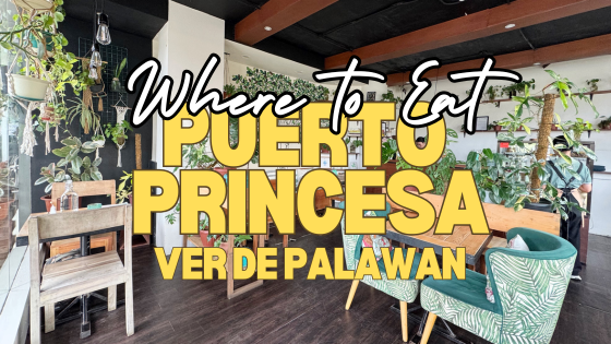 ver de palawan