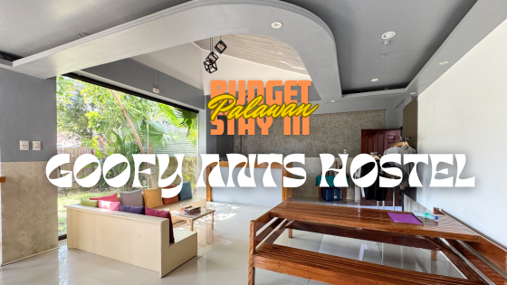 goofy ants hostel puerto princesa city palawan