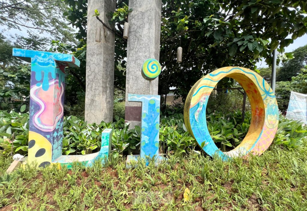 lio estate el nido palawan