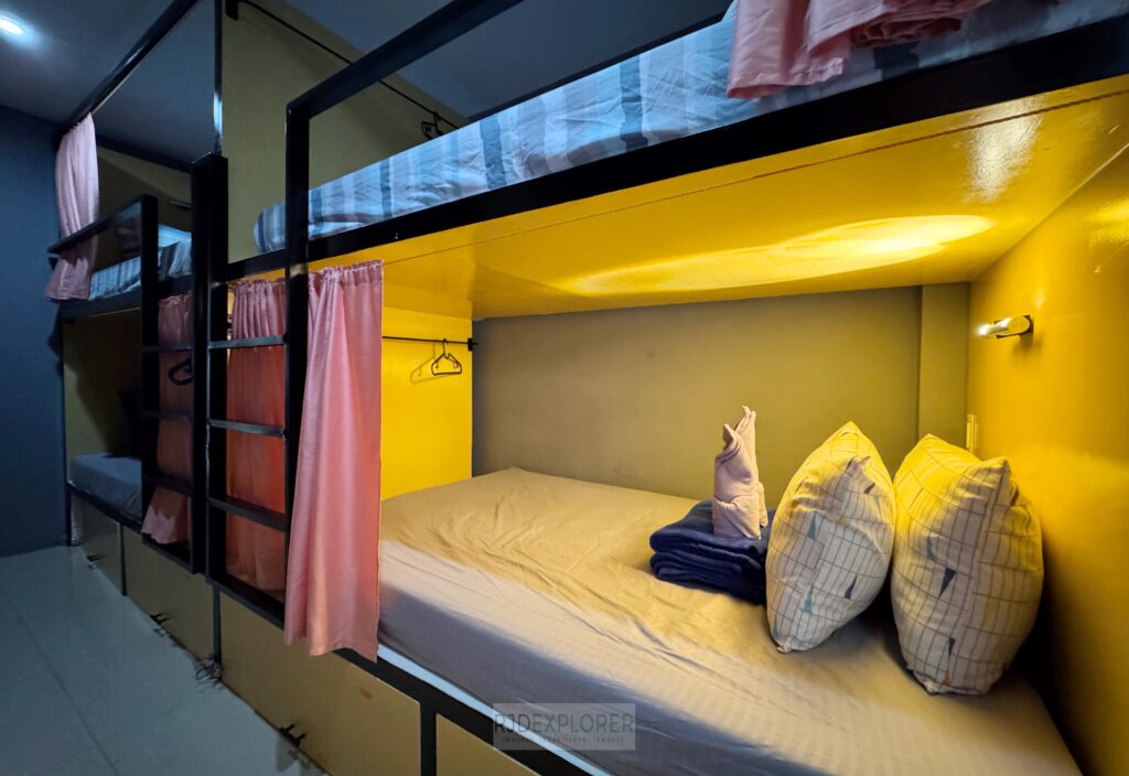 goofy ants hostel dorm rooms