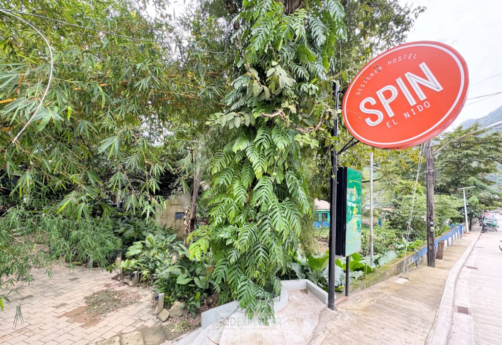 spin designer hostel el nido