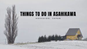 things to do in asahikawa in winter