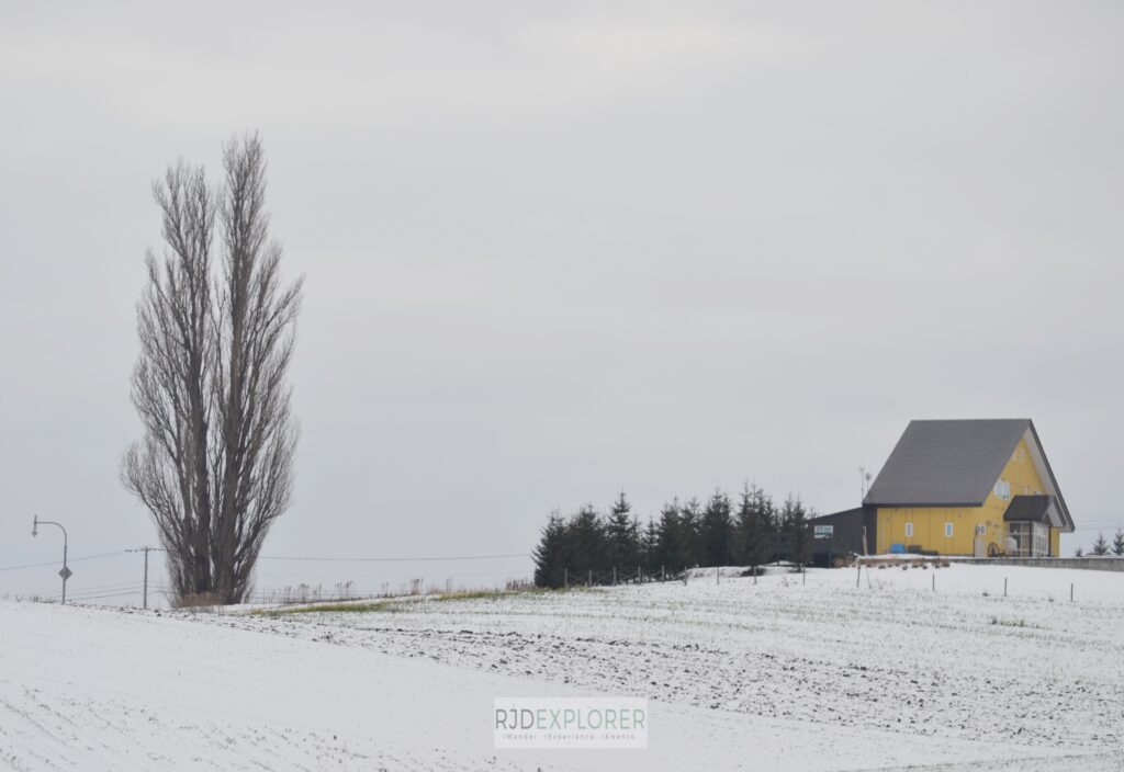 asahikawa tree of ken and mary hokkaido japan